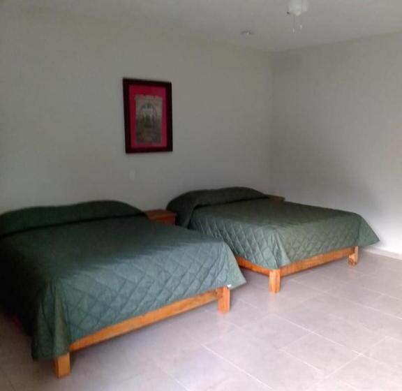 Standardzimmer, El Amate