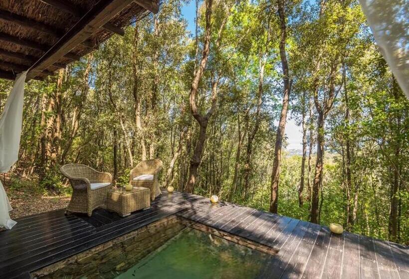 سوئیت جونیور با استخر, Experience Relais  Il Termine Elba