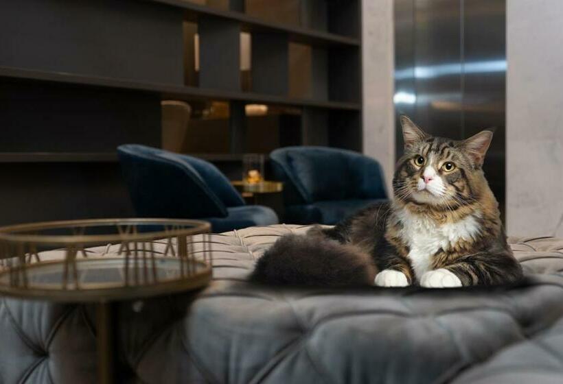 سوییت لوکس, York Luxury Suites Medellin By Preferred