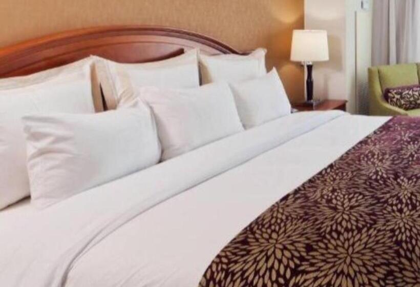 带大床的标准间, Denver Marriott South At Park Meadows