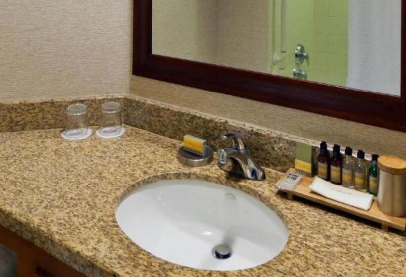 带2个双人床的标准工作室, Denver Marriott South At Park Meadows