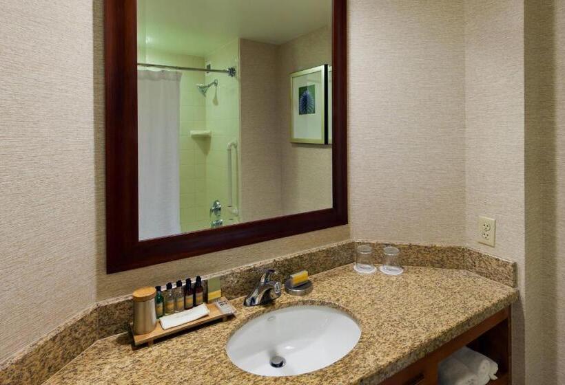 适合残疾人使用的标准间, Denver Marriott South At Park Meadows