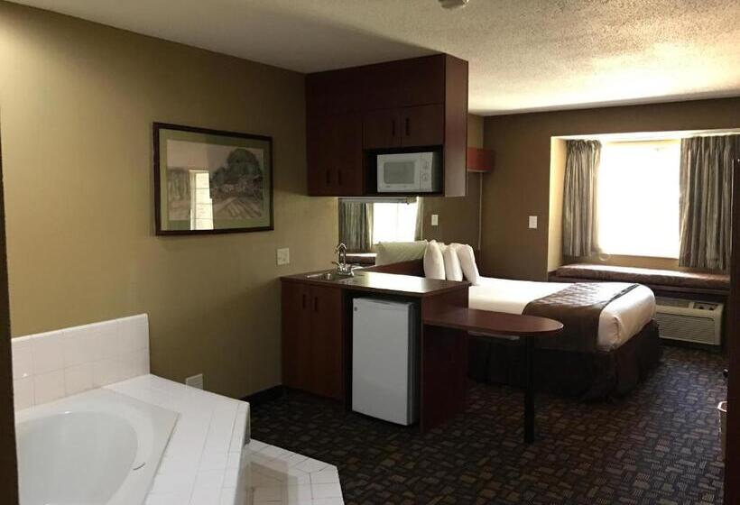 디럭스 스튜디오, Microtel Inn & Suites By Wyndham Lithonia/stone Mountain