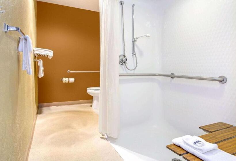 Номер Стандарт Адаптированный для Инвалидов, Microtel Inn & Suites By Wyndham Mason