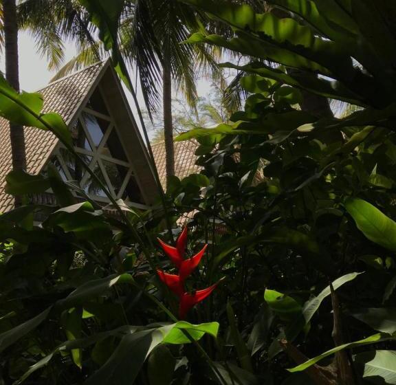 Cabane Deluxe, Surf N Sun   Arugam Bay
