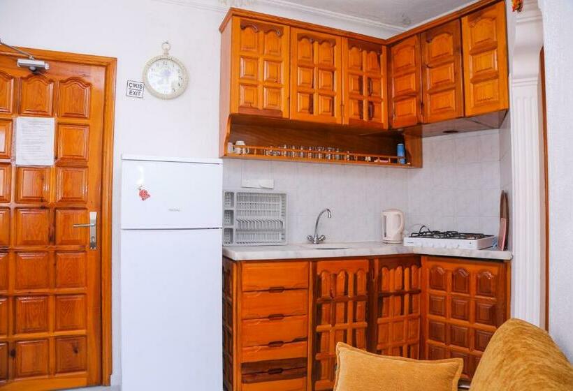 Апартаменты 2 Спальни, Villa Ali Ozalp