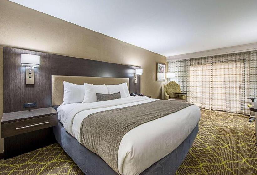 身障者適用キングサイズベッドルーム, Best Western Plus Clemson Hotel & Conference Center
