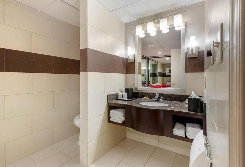Номер Стандарт 2 Двуспальные Кровати, Best Western Plus Poconos