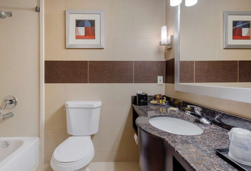 Номер Стандарт 2 Двуспальные Кровати, Best Western Plus Poconos