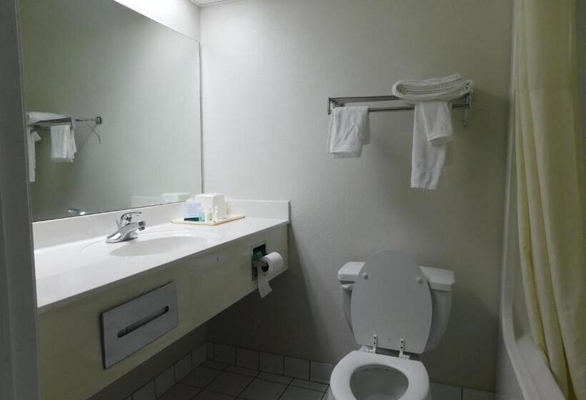 스탠다드 룸 킹사이즈 침대, Quality Inn & Suites Thomasville