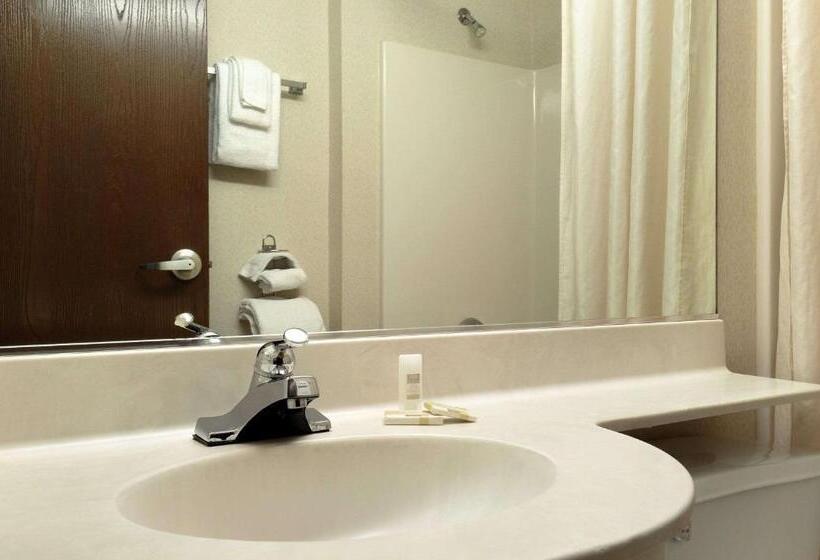 Номер Стандарт, Microtel Inn & Suites By Wyndham Bloomington Msp Airport