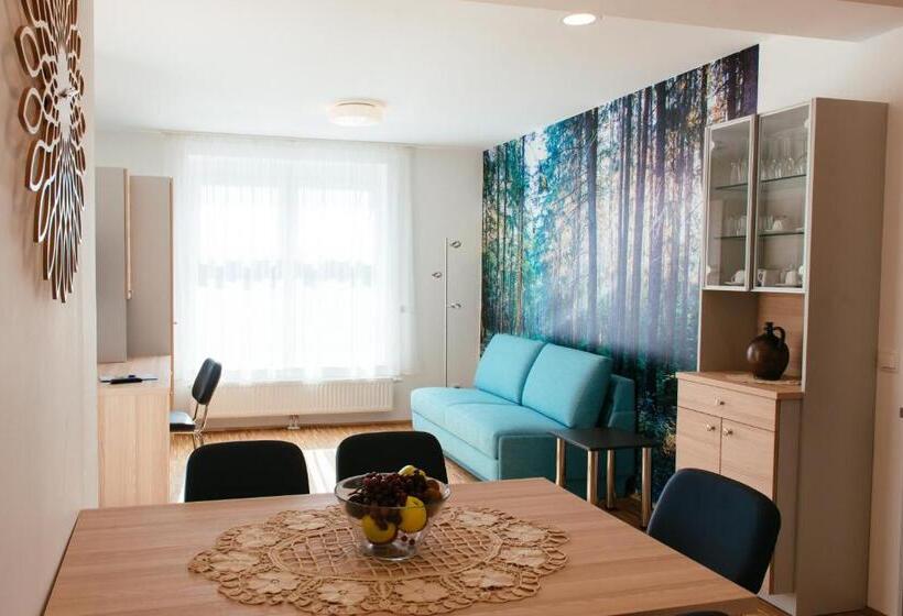 Апартаменты 1 Спальня, Aparthotel Heuberger