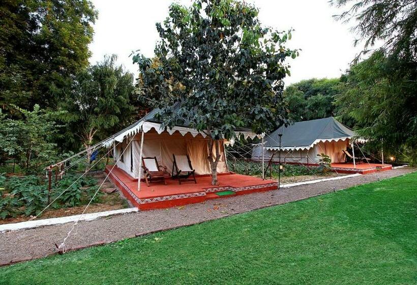 Deluxe Tent, Bhadrawati   A Riverside Safari Lodge Ranthambore
