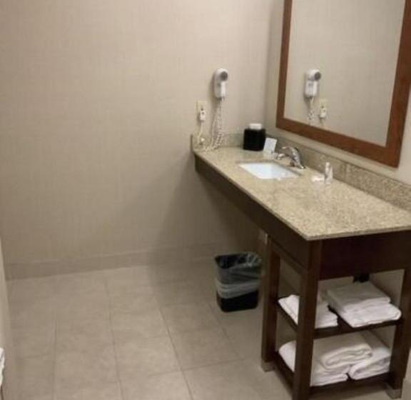 Номер Стандарт Адаптированный для Инвалидов, Comfort Inn & Suites West Chester   North Cincinnati