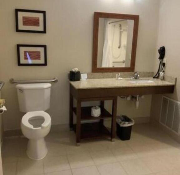 Люкс Адаптированный для Инвалидов, Comfort Inn & Suites West Chester   North Cincinnati