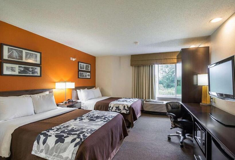 스탠다드 룸 더블 침대 2개, Sleep Inn & Suites