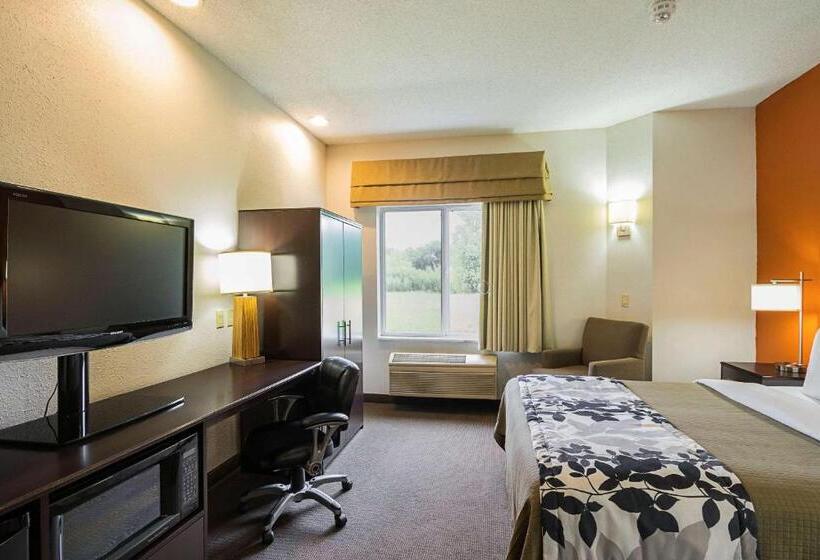장애인을 위한 킹사이즈 침대 스탠다드 룸, Sleep Inn & Suites