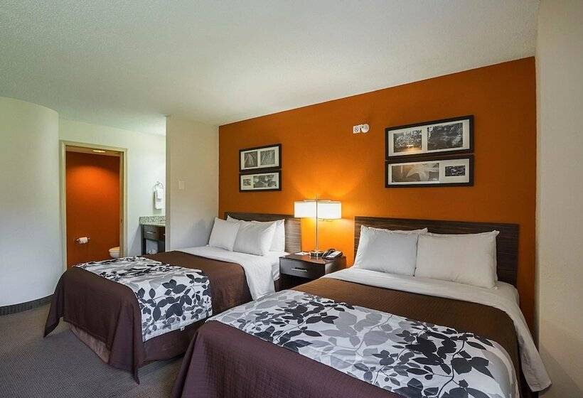 스탠다드 룸 더블 침대 2개, Sleep Inn & Suites