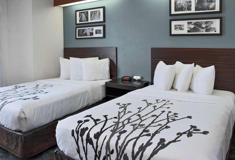 스탠다드 룸 더블 침대 2개, Sleep Inn Lake Wright  Norfolk Airport