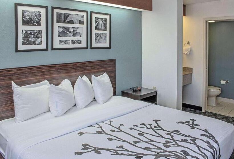 스탠다드 룸 킹사이즈 침대, Sleep Inn Lake Wright  Norfolk Airport
