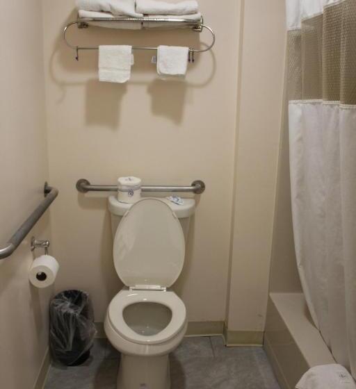 Standaardkamer met Kingsize Bed, Sterling Inn Niagara Falls Near Iag Airport