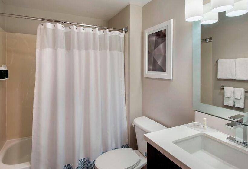 Люкс, Towneplace Suites Chicago Lombard