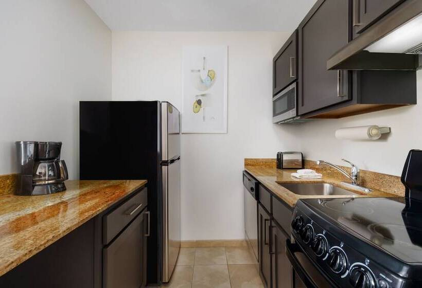 스위트, Towneplace Suites Philadelphia Horsham