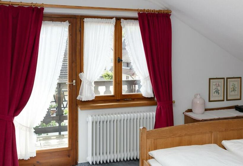Апартаменты Комфорт 1 Спальня, Gasthaus Adler