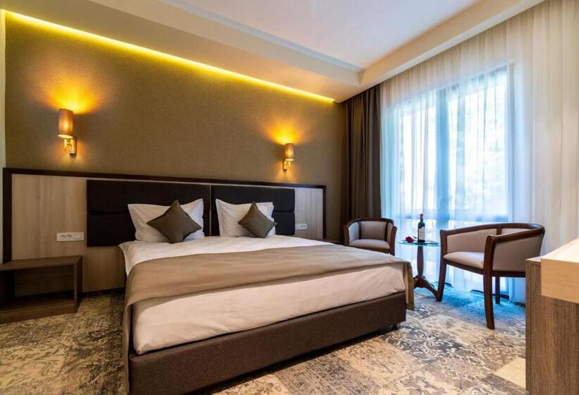 Апартаменты 1 Спальня с Террасой, Izvoare Caciulata