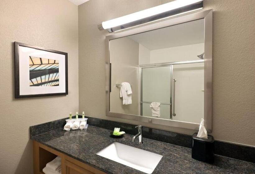 Люкс Кровать Кинг, Holiday Inn Express Hotel & Suites Fraser Winter Park Area, An Ihg