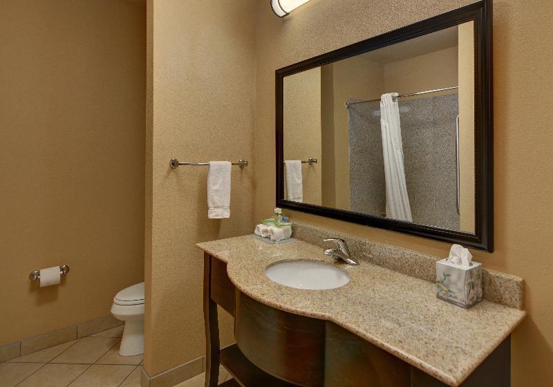 キングサイズベッドのスタンダードルーム, Holiday Inn Express Tyler South, An Ihg