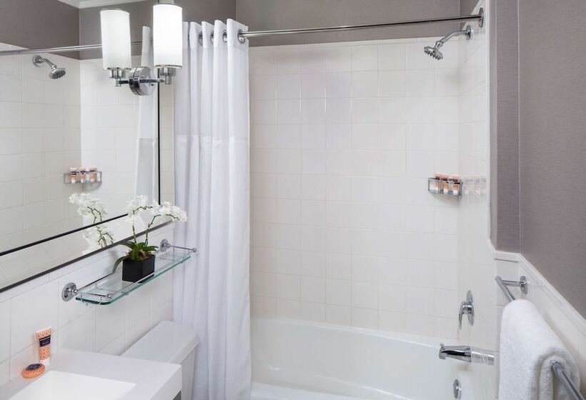 اتاق استاندارد با 2 تخت دوبل, Park South Hotel, Part Of Jdv By Hyatt