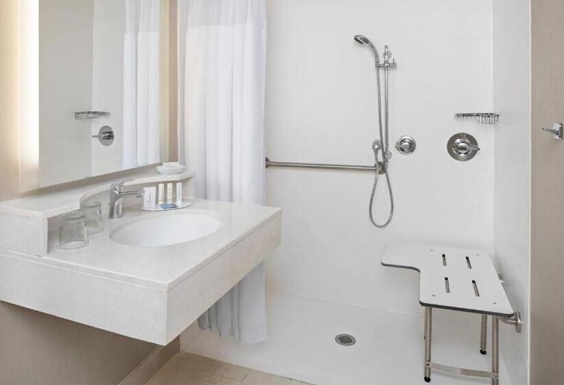 Люкс Адаптированный для Инвалидов, Springhill Suites Austin Round Rock
