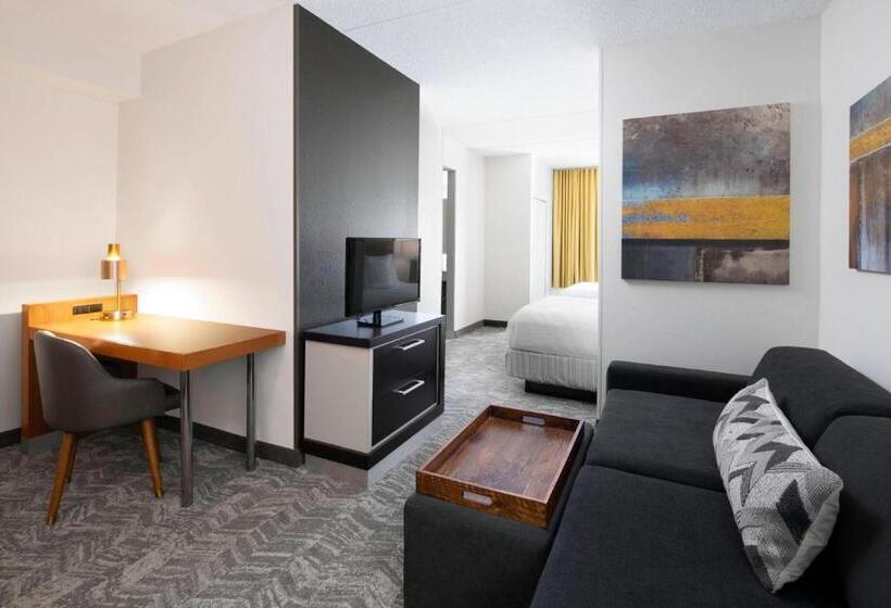 Люкс Адаптированный для Инвалидов, Springhill Suites Austin Round Rock