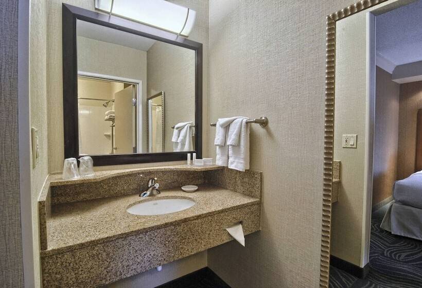 Люкс, Springhill Suites Detroit Southfield