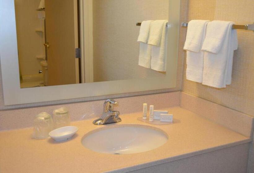 Студио Стандарт Кровать Кинг, Springhill Suites By Marriott Lansing