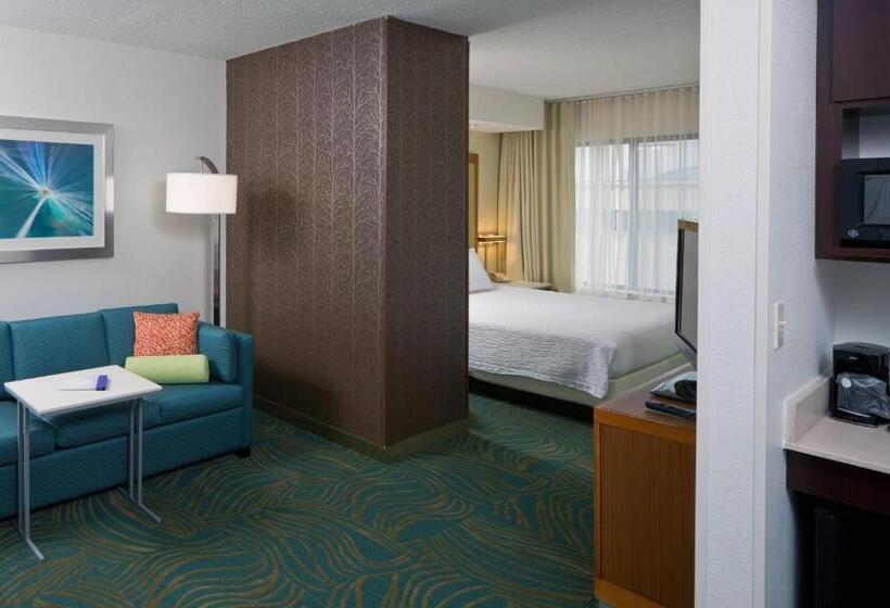 Студио Стандарт Кровать Кинг, Springhill Suites By Marriott Lansing