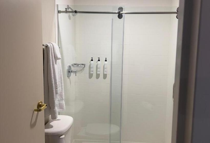 Студио Стандарт Кровать Кинг, Springhill Suites By Marriott Lansing