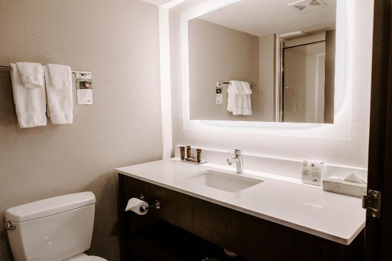 اتاق استاندارد با تخت بزرگ, Wingate By Wyndham   Dulles International