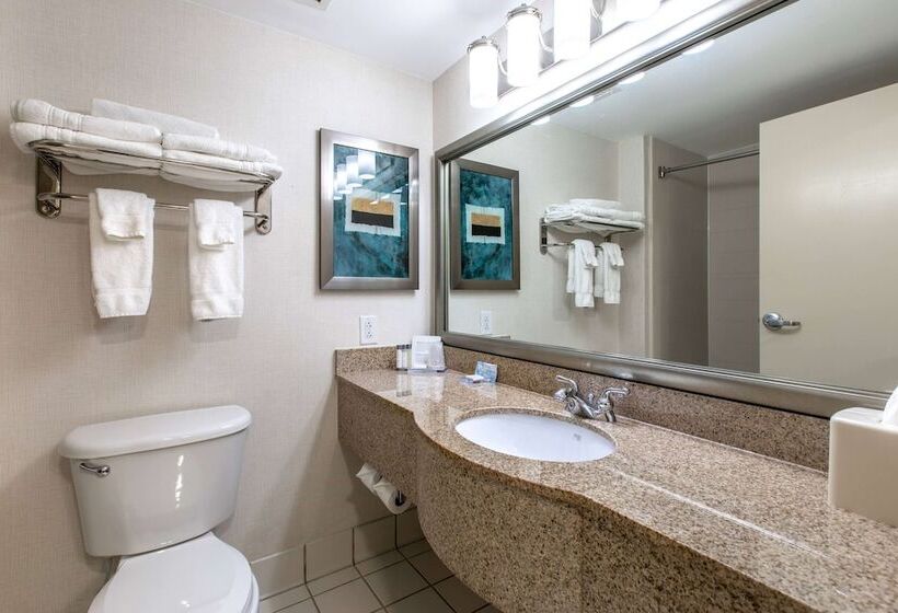 Полулюкс, Wingate By Wyndham Charlotte Concord Mills/speedway