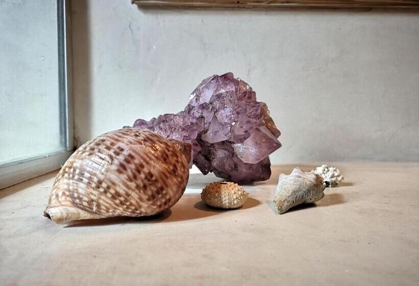 디럭스 방갈로, Octogono Om Shanti