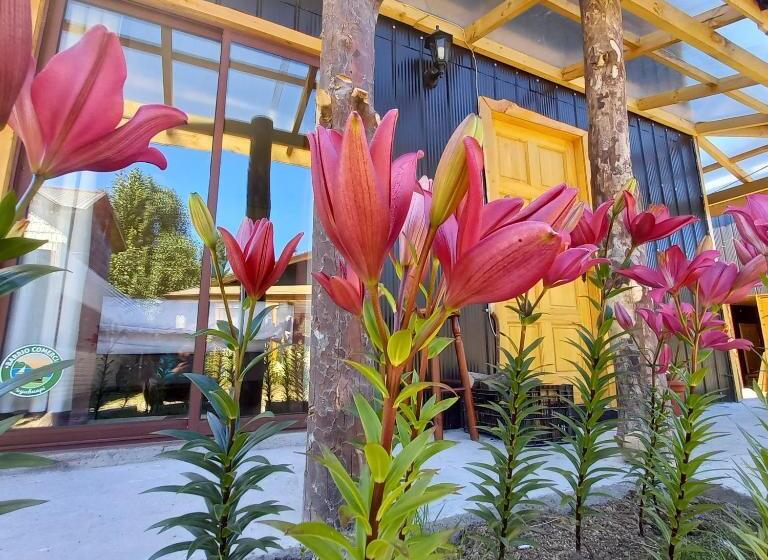 침실 3개 주택, Cabanas Senderos Puyuhuapi