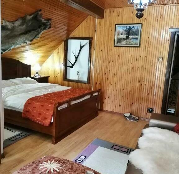 Номер Стандарт, Casa Serban