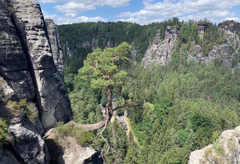 Номер Стандарт, Devítka