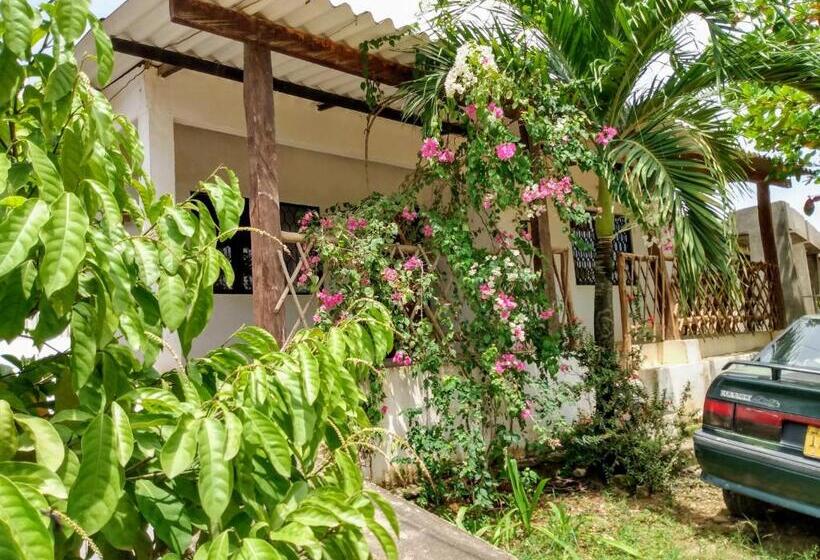 Номер Стандарт, Hostal Santa Clara