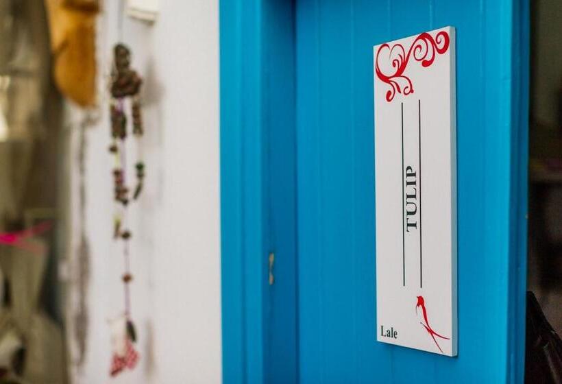 豪华房间, Cypriot Swallow Boutique