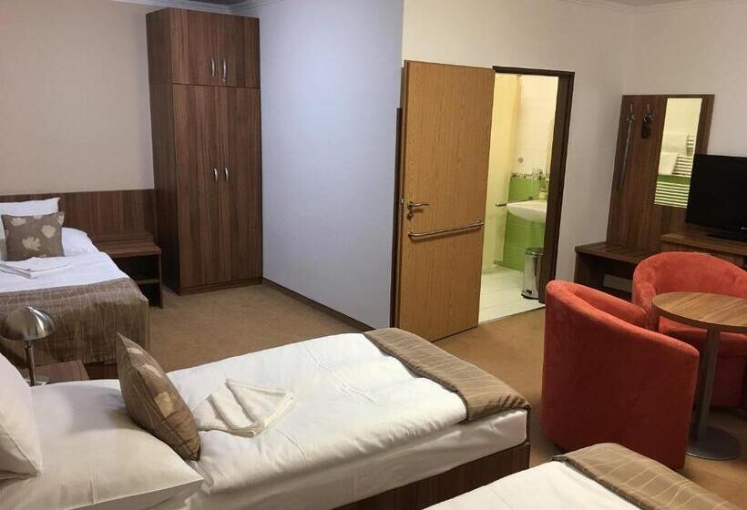 Номер Стандарт Трехместный, Ryšavý