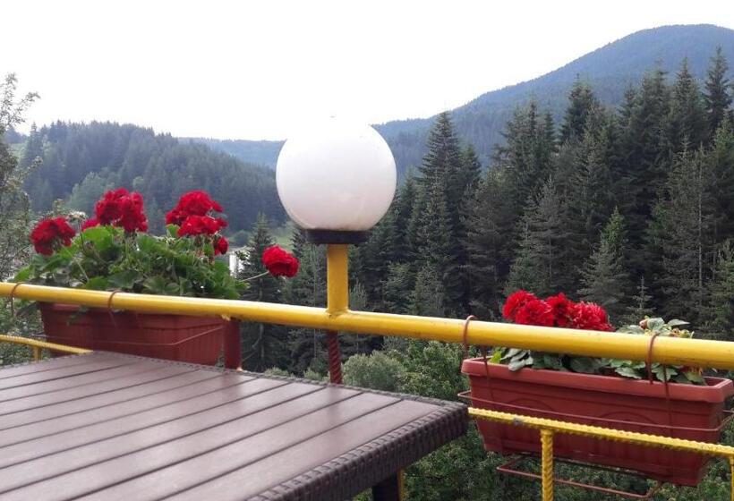 Номер Стандарт Вид на Горы, Guest House Stoletnika