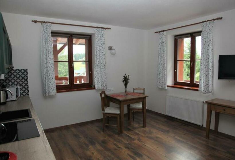 Студия Стандарт, Aparthotel Mádr