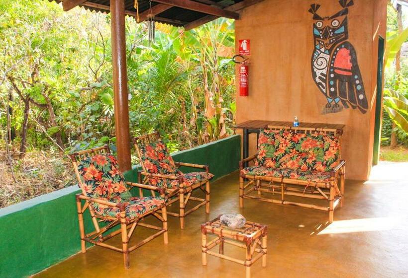 Standard Trippelrum, Canto Da Coruja   Ecohospedagem